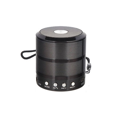 portable-bluetooth-speaker-model-ws-887